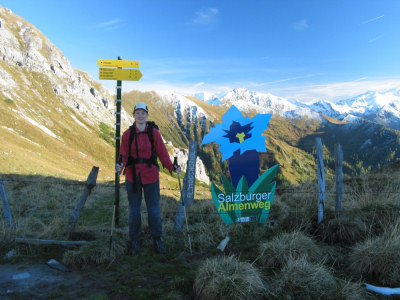 Auf dem Filzmoossattel (2062 m) - mit übergroßem Enzian.