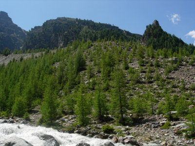 Die letzten 250 Hm zum Grathorn.