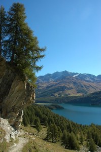 Kurz vor der Siedlung Grevasalvas. Blick in Richtung Südosten.