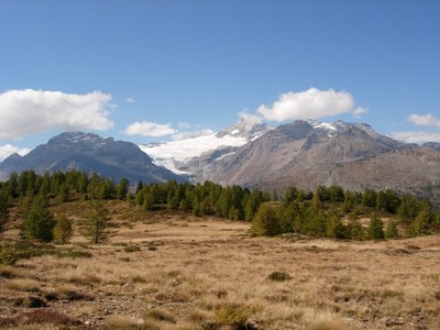 Kurz vor Aurafreida: Ausblick zum Palügletscher.