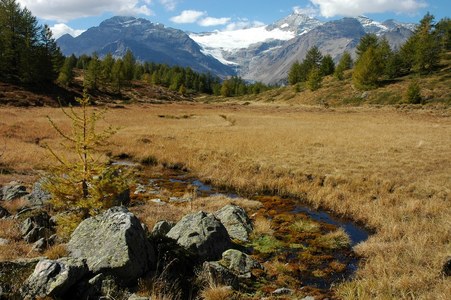 Kurz vor Aurafreida: Ausblick zum Palügletscher.