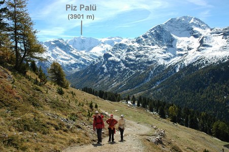 Kurz vor der Alp Languard.