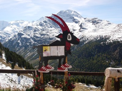 Speisekarte des Restaurants der Alp Languard (2201 m) vor prachtvoller Aussicht.