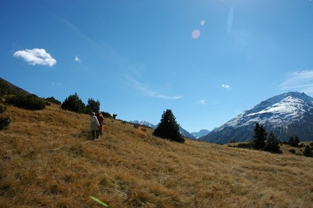 Offene Wiesenfläche nach der Waldwanderung.