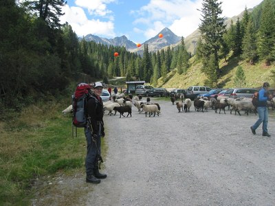 Almabtrieb am Parkplatz Seichenbrunn (1668 m).