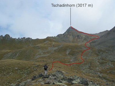 Normalweg zum Tschadinhorn.