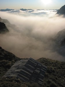 Die Dohlen gleiten über den Wolken.