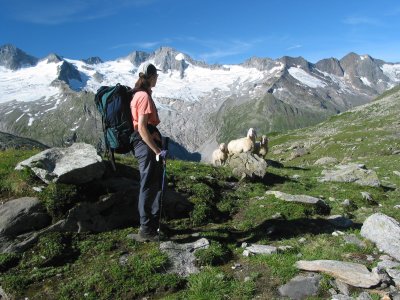 Unterhalb des Schwarzsees beäugen uns die Schafe.