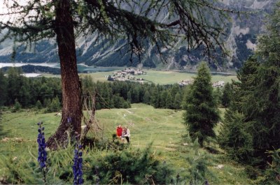 Oberhalb der Alp Prasüra auf Wiesenfläche. [Bild vom Juli 2001]