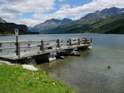 Bei Maloja am Ufer des Silser Sees.