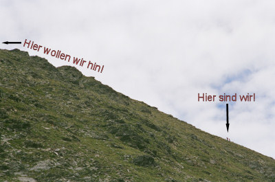 Über eine Grashalde von Süden nach Norden aufwärts zum Gipfel.