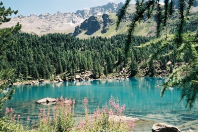 Idyllischer Lagh da Saoseo. [Bild vom Juli 2003]