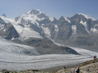 Blick zum Morteratschgletscher und zum gewaltigen Piz Bernina (4049 m).
