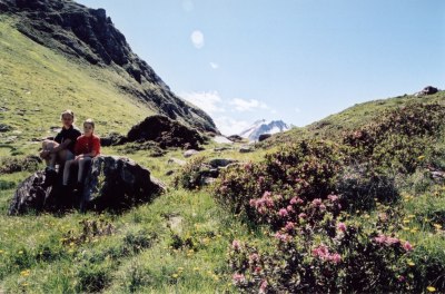 In einem Hochtal voller Alpenrosen. [Bild vom Juli 2001]