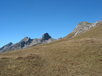 Ellbogner Spitze, Wilder Kasten, Wildmahdspitze und Muttekopf.