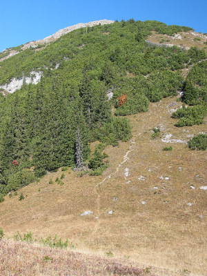 Aufstiegsweg zur Ellbogner Spitze.