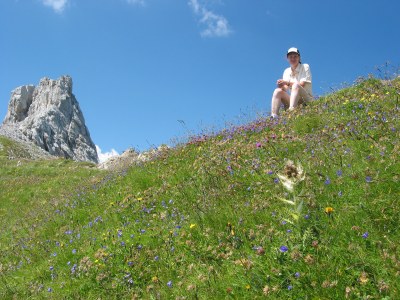 Blumenwiese auf dem Zimbajoch.