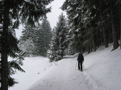 Auf dem Weg zum Windgfällweiher.