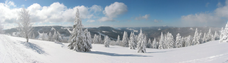 Panoramablick vom Feldberg.