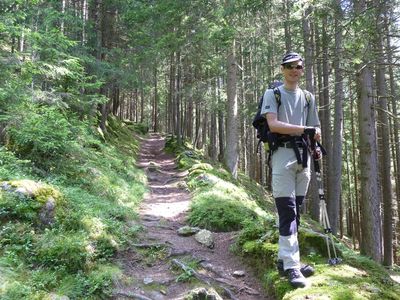 Aufstieg durch herrlichen Wald.