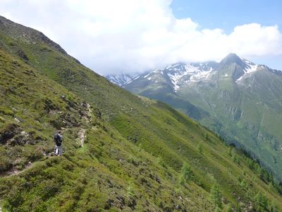 Traumhafte Alpenrosenhänge werden gequert.