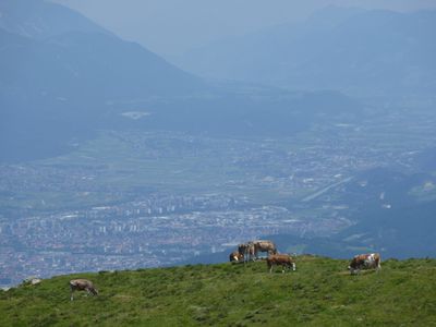 Blick vom Grieskogel nach Innsbruck.